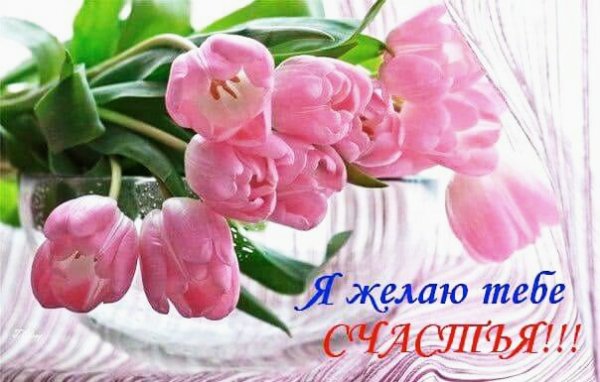 пожелание 010002