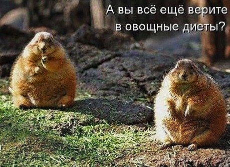 IMG 20150610 175436 110