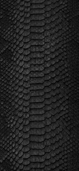 Dragon Skin