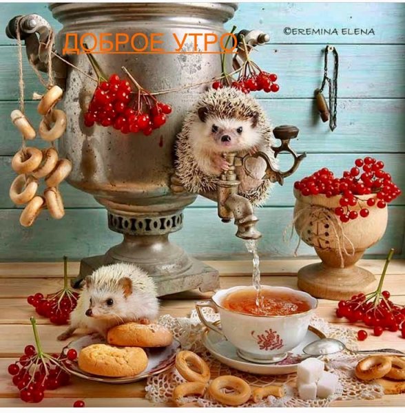 D732745837ac09c221175fd5db169f1d