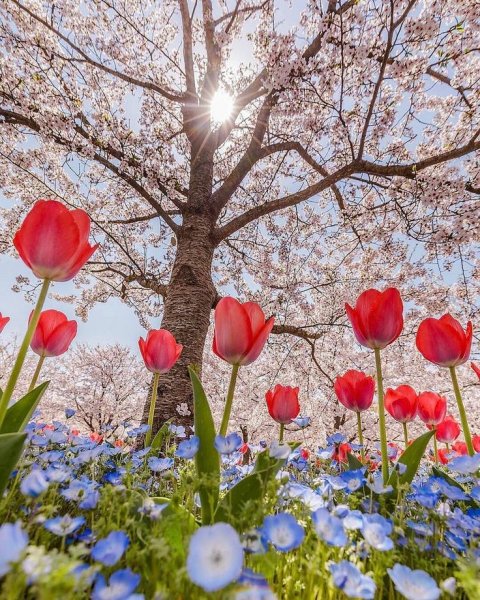 a0a60149c0ca28a20eda3cd4dfd