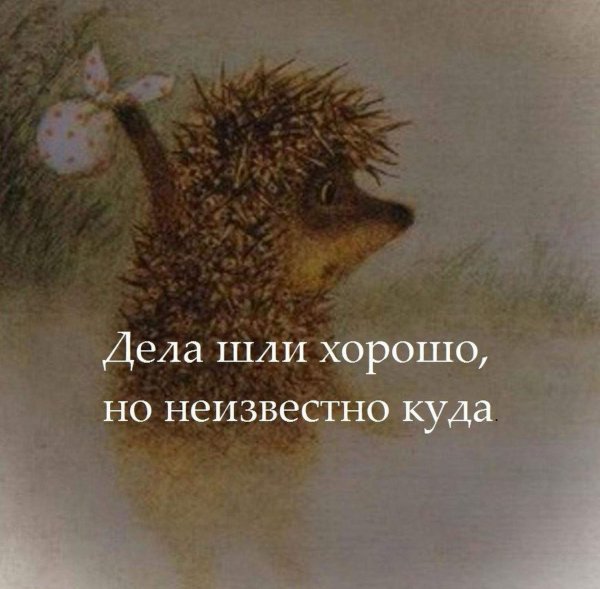 Но неизвестно куда