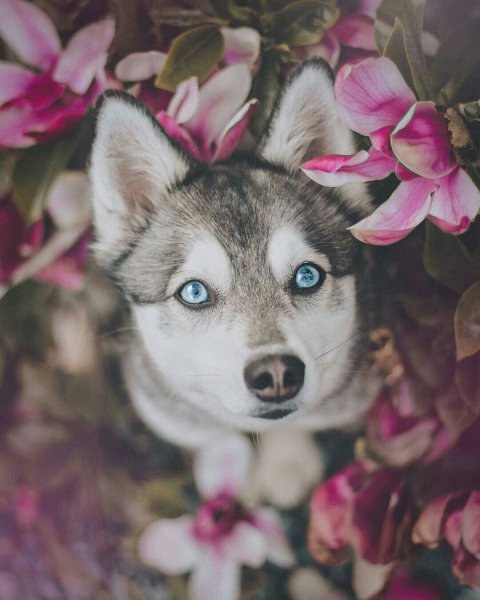 EF3C3-A0EE-4EDF-A641-E8B2EF120FD9