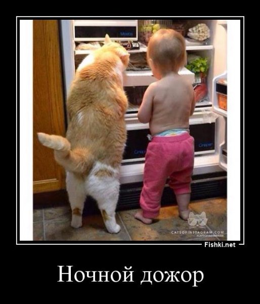 Ночной дозор
