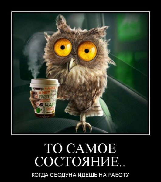 Доброе утро