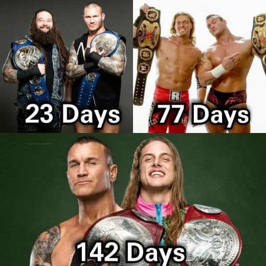 WWE (239)
