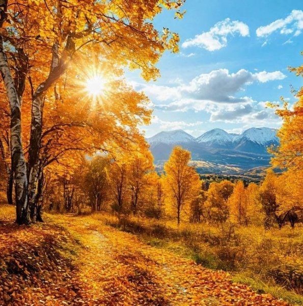 BuQRupcc0sbK9J9-XcUwDX3xgMjxZQmEiNIuj2HXqUBLvxelW9ny54JHTi1