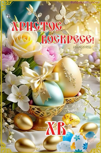 IMG-20250424-WA0028