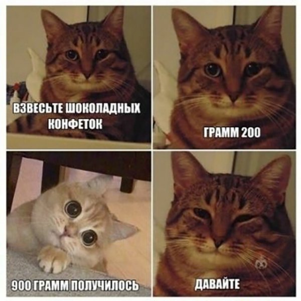 image (3) (9)