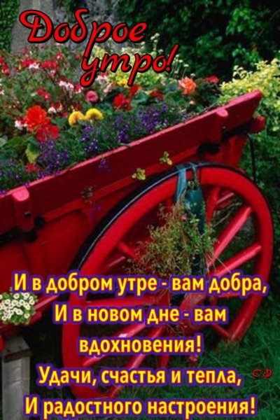 IMG-20210805-WA0000