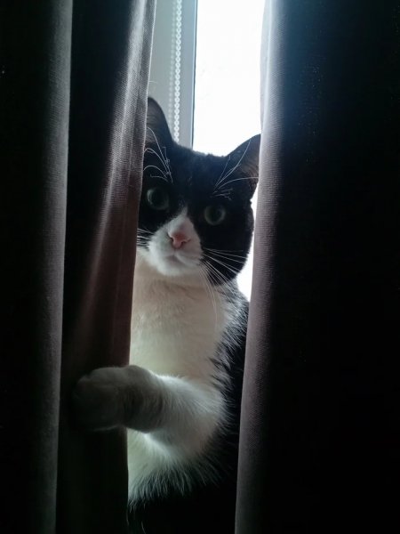 Смотрит как заполнен зал)