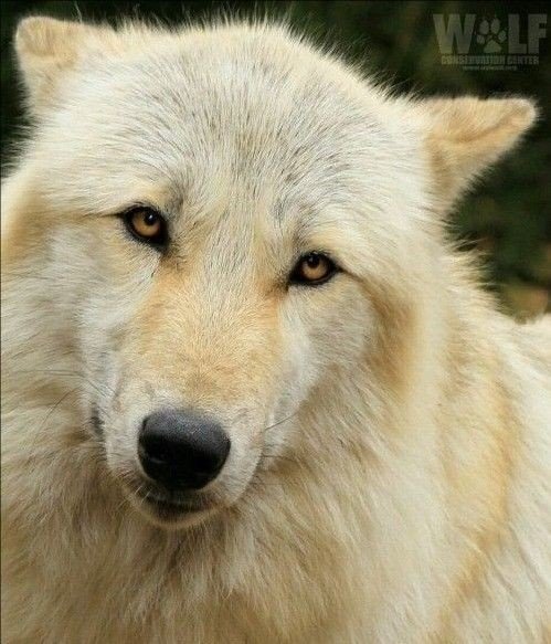 76df9d31cf485eb80d074e0d00d9ca28