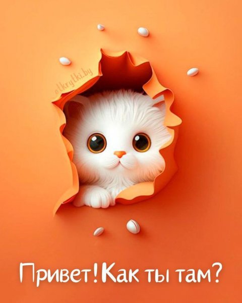 F5e2999aff397f8b1c645d137abaee5e