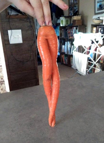 Любовь морковь