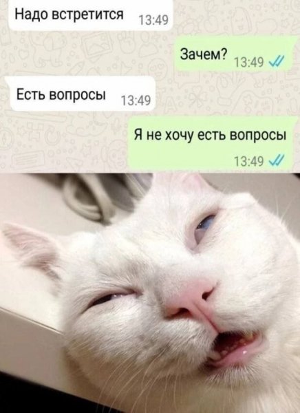 IMG 20260805 161730 983