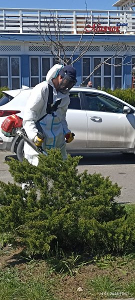 Анапа. Стрижка газона