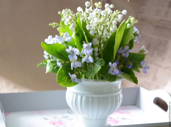 landish goluboi vkontakte 041