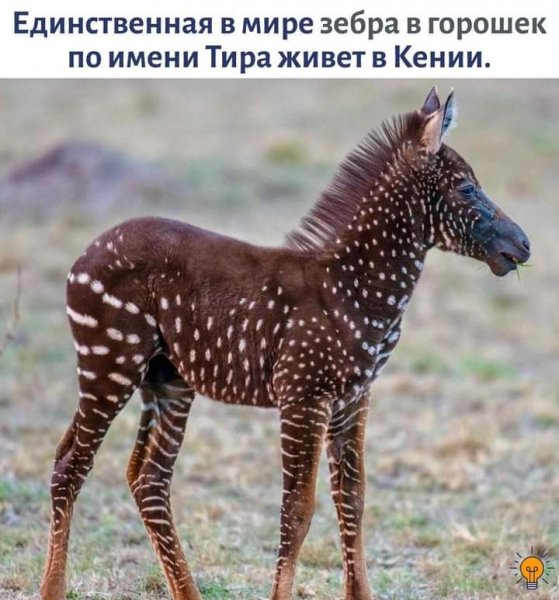 FB IMG 1623876986774
