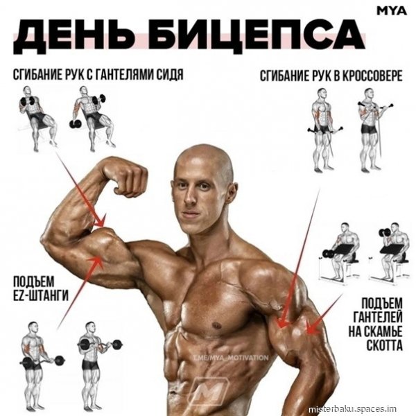 Rba3qK75jYk-