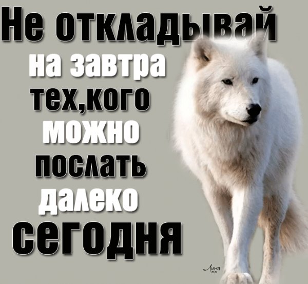 IMG 20230415 173741
