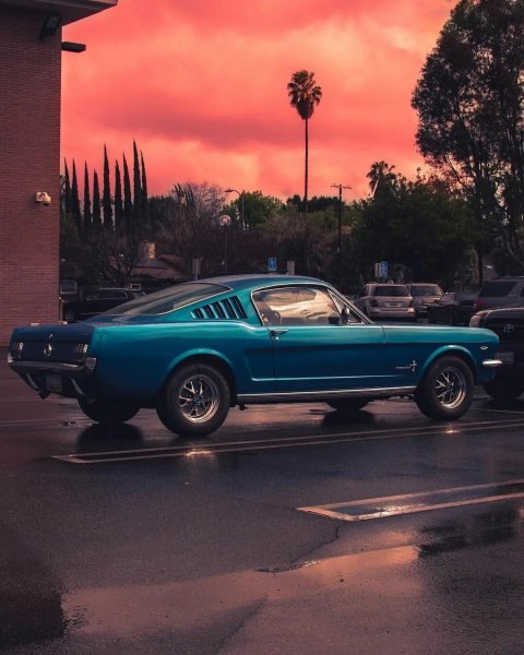 Ford Mustang Fastback 1967