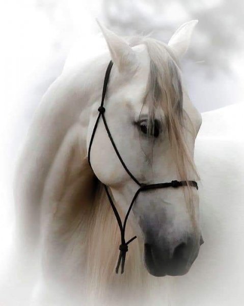 17-00-06-241642548 10223990784391699 4852667047618171268 n