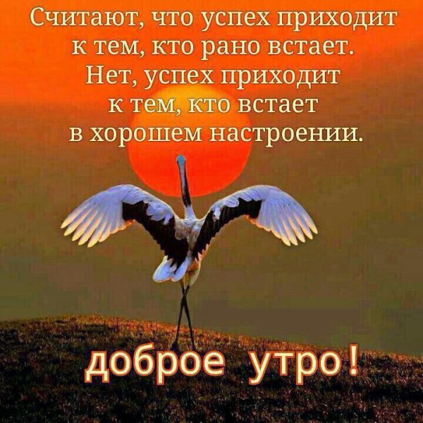 Доброе утро!