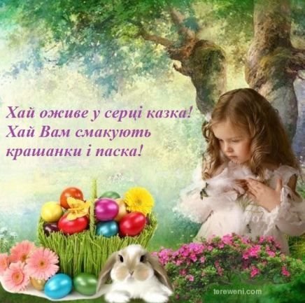 91cf251f39b5970bf8be6d0d42685510