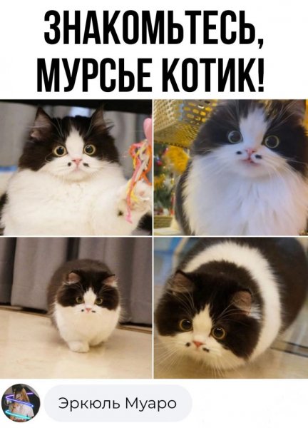 Podborka-memov-i-kommentariev-dlja-horoshego-nastroenija-10