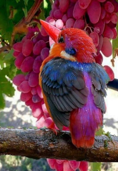 F640167d097751c239272fe4261bdfd6