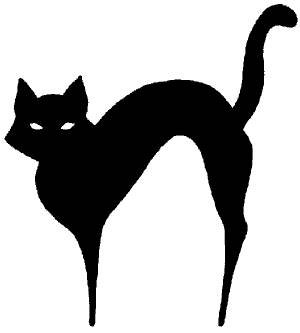 cat 2