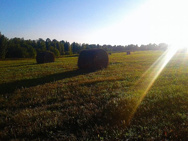 Утренняя тишина