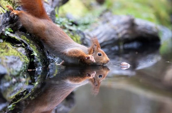 Дотянуться бы до счастья!