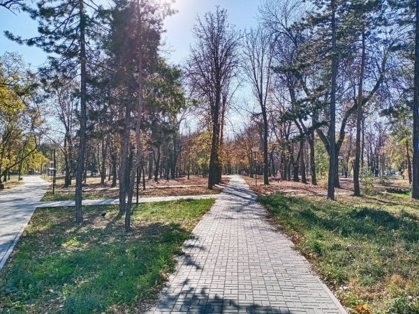 Парк Нэвз