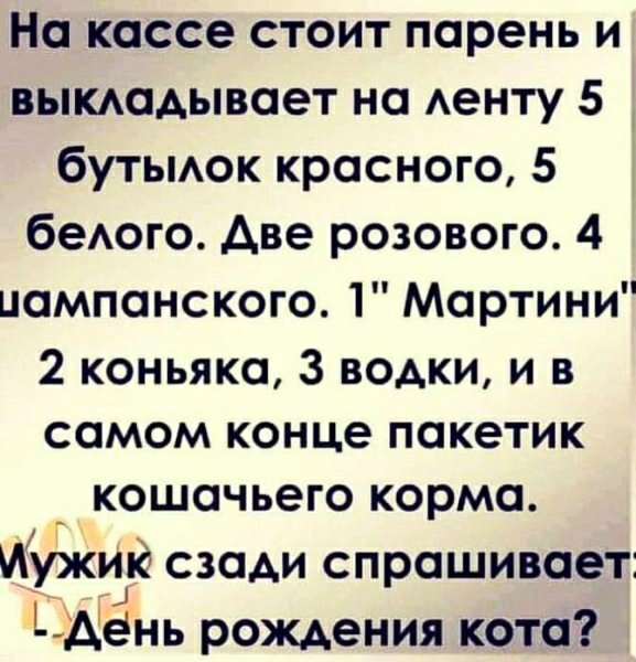 День рождения кота!)))