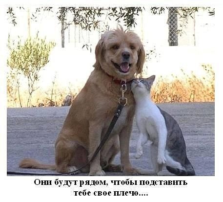 Они будут рядом...