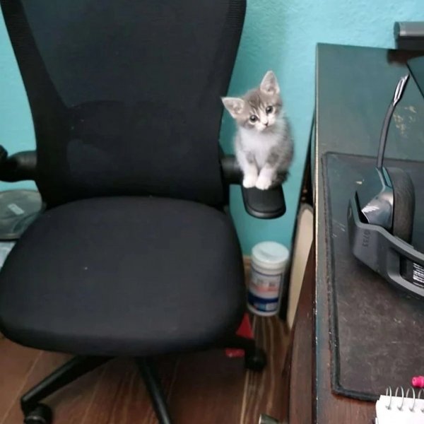 MlMiyLN78l5rexXzxNyvIluXo29BSQQG1mwpC-hd2Yo7rFuW2L8alxibYeO