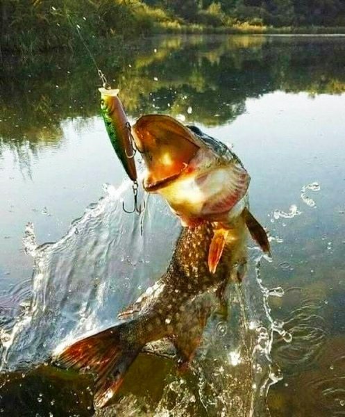 Остановись, мгновенье!