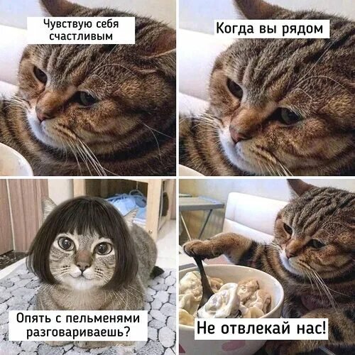 Не отвлекай нас!