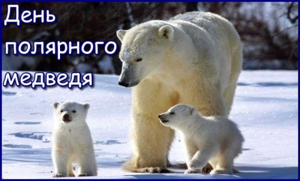 27февраля день полярного медведя