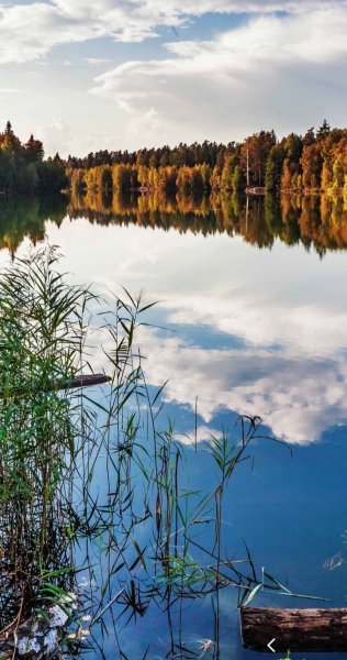 Screenshot 20240516-131252 One UI Home