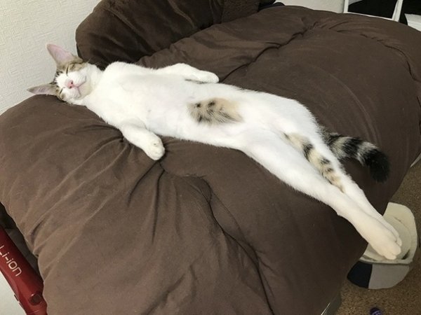 owmRDDPMVus