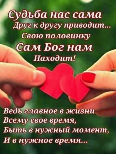 FB IMG 15390131100996862