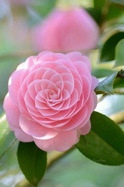 Ab2fd69b9c9a88cdf8582e5a37b6a214