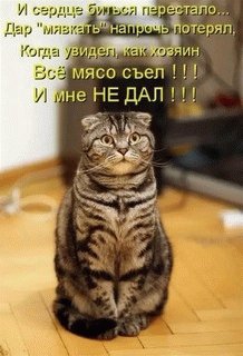 8a527a84cac8515f4ad86fc0905b8f63-358720
