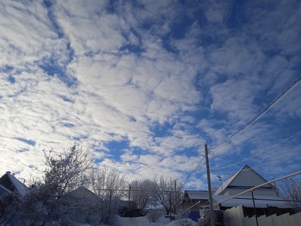 IMG 20241230 144253
