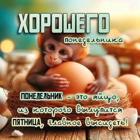 Хорошего понедельника!