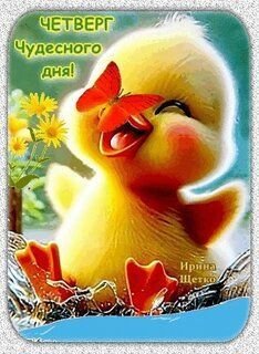 e3ac39a5fed0083dce2dd2b74d208