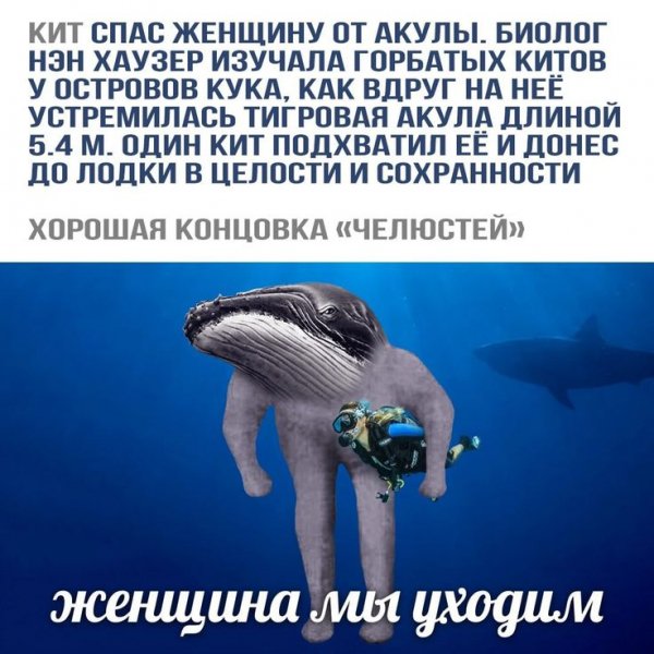 Женщина, мы уходим