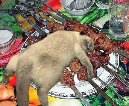 день удался